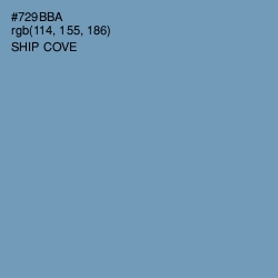 #729BBA - Ship Cove Color Image